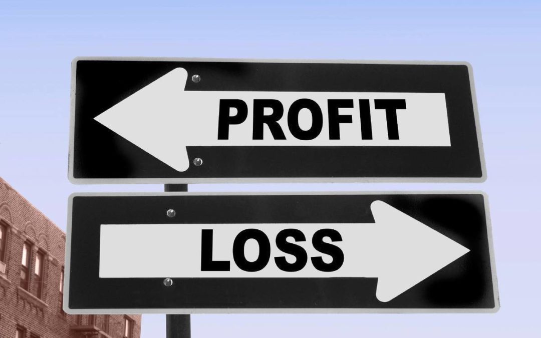 How to Make a Profit and Loss Statement