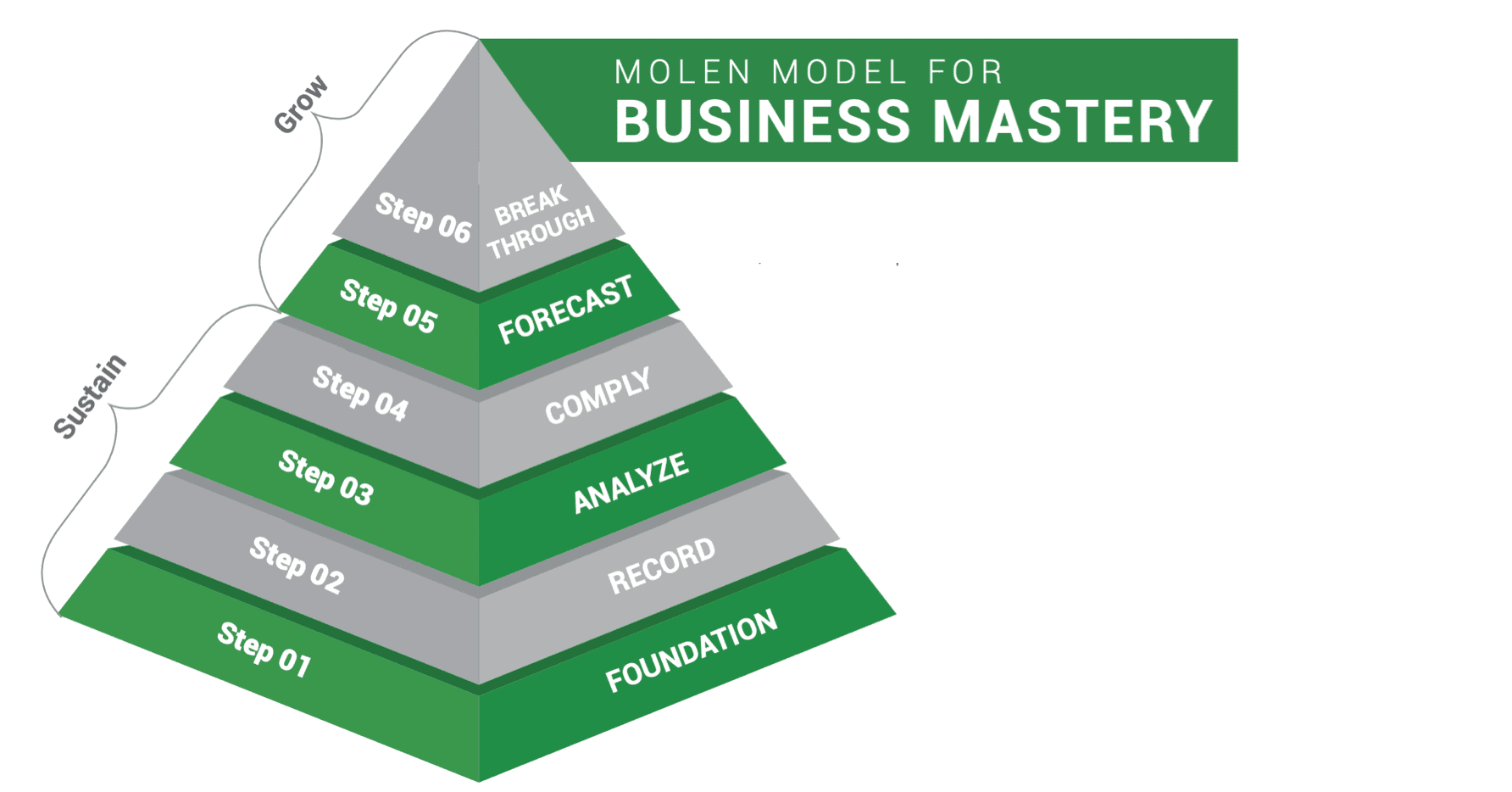 Molen Model for Business Mastery